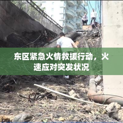取证 第12页