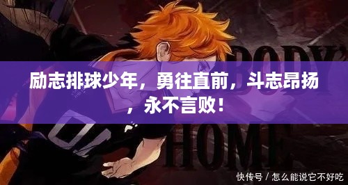 励志排球少年，勇往直前，斗志昂扬，永不言败！