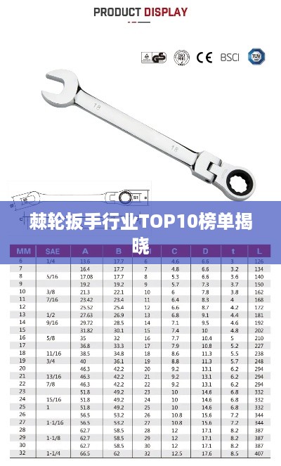 棘轮扳手行业TOP10榜单揭晓