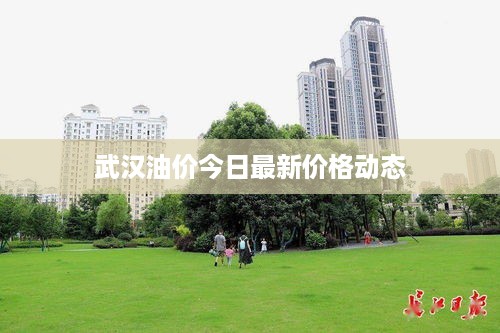 武汉油价今日最新价格动态