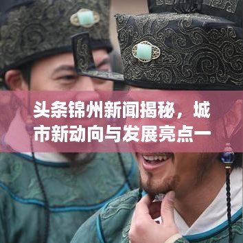 头条锦州新闻揭秘，城市新动向与发展亮点一网打尽