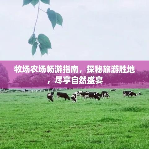 2025年5月17日