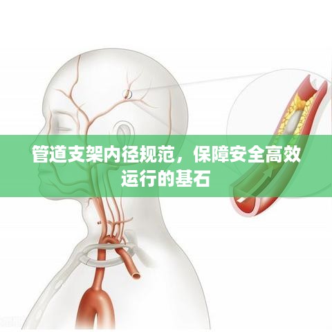 管道支架内径规范，保障安全高效运行的基石