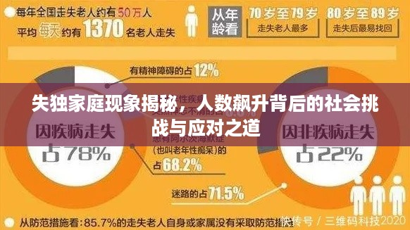 失独家庭现象揭秘，人数飙升背后的社会挑战与应对之道