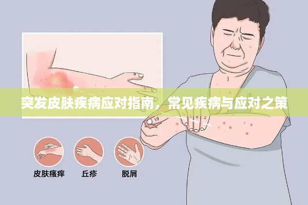 突发皮肤疾病应对指南，常见疾病与应对之策