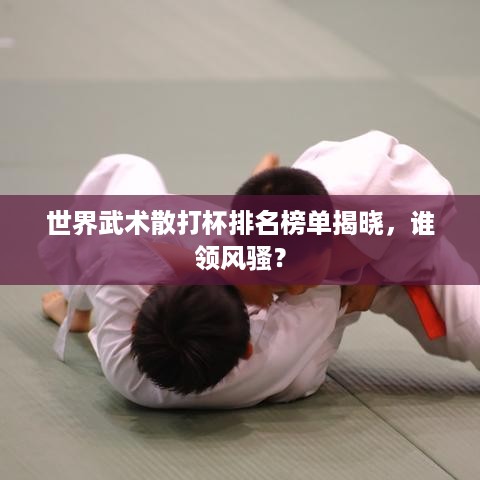 世界武术散打杯排名榜单揭晓，谁领风骚？