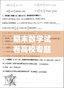 期末数学试卷高校专题，挑战与应对策略