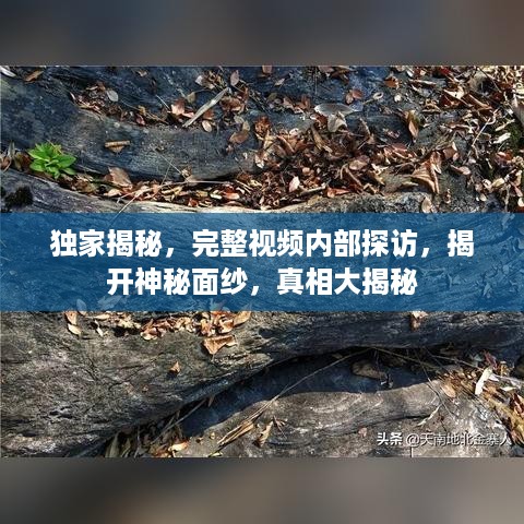 独家揭秘，完整视频内部探访，揭开神秘面纱，真相大揭秘