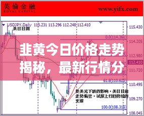 韭黄今日价格走势揭秘，最新行情分析与市场趋势解读