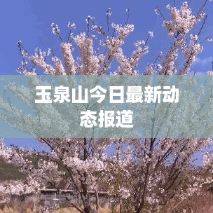 玉泉山今日最新动态报道