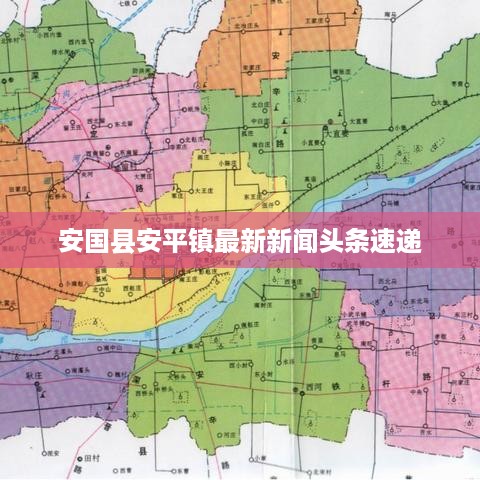公证管理 第106页